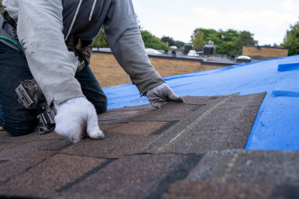 Best Slate Roofing Contractor  in Ozk, AR