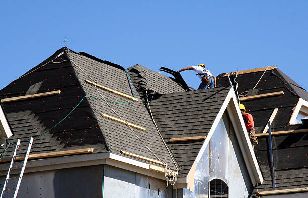 Best Roof Repair Services  in Ozk, AR